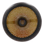 GloboStar® JANIS 01590 Μοντέρνο Κρεμαστό Φωτιστικό Οροφής Μονόφωτο 1 x E27 Μαύρο - Χρυσό Μεταλλικό Καμπάνα Φ30 x Υ30cm - Image 9