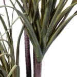 GloboStar® Artificial Garden DRAGON BLOOD TREE 20015 - Τεχνητό Διακοσμητικό Φυτό Δράκαινα Υ150cm - Image 3