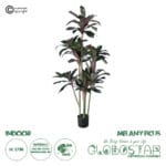 GloboStar® Artificial Garden MELANY FICUS 20041 Τεχνητό Διακοσμητικό Φυτό Φίκος Υ170cm