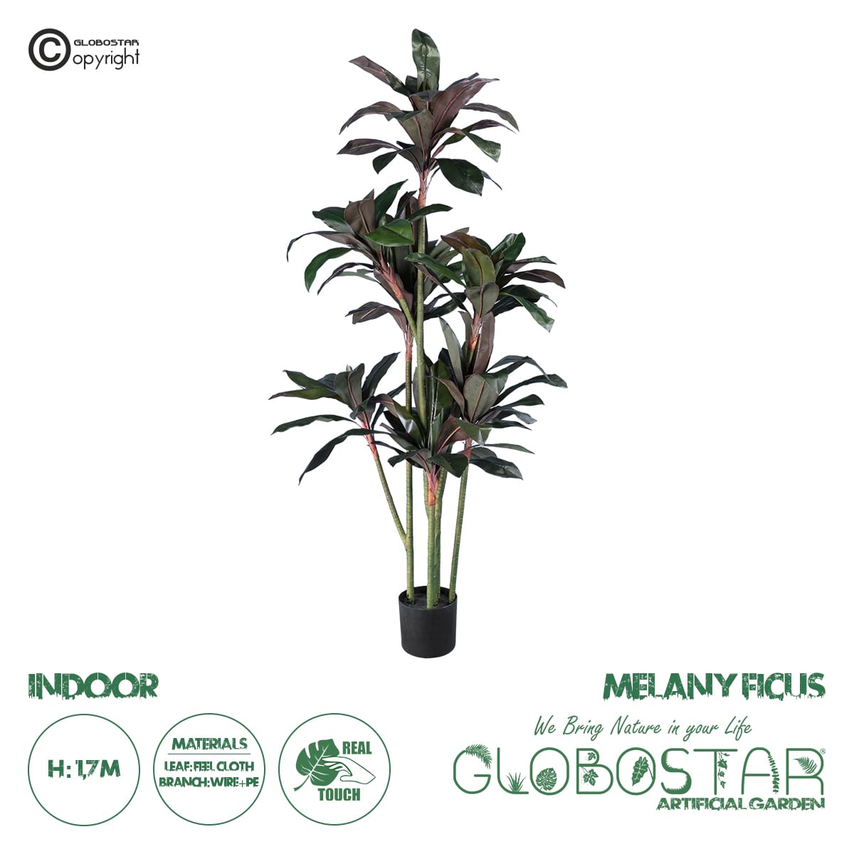 20041_1 GloboStar® Artificial Garden MELANY FICUS 20041 Τεχνητό Διακοσμητικό Φυτό Φίκος Υ170cm - Image 1