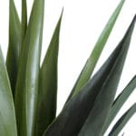GloboStar® Artificial Garden SISAL AGAVE 20078 Τεχνητό Διακοσμητικό Φυτό Αγαύη Υ110cm - Image 3