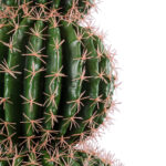 GloboStar® Artificial Garden FEROCACTUS 20137 Τεχνητό Διακοσμητικό Φυτό Φερόκακτος Υ85cm - Image 3