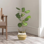 GloboStar® Artificial Garden POLYSCIAS BALFOURIANA TREE 20373 Τεχνητό Διακοσμητικό Φυτό Πολυσκιά Υ70cm - Image 8