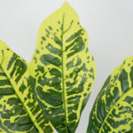 GloboStar® GREEN CROTON 78226 Τεχνητό Φυτό Κροτώνας Πράσινος - Μπουκέτο Διακοσμητικών Φυτών - Κλαδιών με Φύλλωμα Πράσινο Υ44cm - Image 2