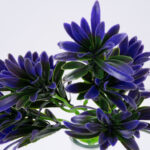 GloboStar® PURPLE MAKI 78282 Τεχνητό Φυτό Ποδόκαρπος Μωβ - Μπουκέτο Διακοσμητικών Φυτών - Κλαδιών με Φύλλωμα Μωβ Υ28cm - Image 2