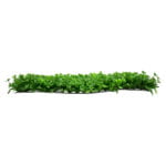 GloboStar® 78411 Artificial - Συνθετικό Τεχνητό Διακοσμητικό Πάνελ Φυλλωσιάς - Κάθετος Κήπος Τριφύλλι - Νάνος Φτέρη Πράσινο Μ60 x Υ40 x Π8cm - Image 3