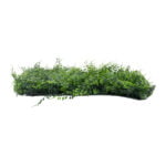 GloboStar® 78413 Artificial - Συνθετικό Τεχνητό Διακοσμητικό Πάνελ Φυλλωσιάς - Κάθετος Κήπος Λέιλαντ - Νάνος Κισσός Πράσινο Μ60 x Υ40 x Π9cm - Image 3