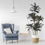 GloboStar® Artificial Garden MELANY FICUS 20041 Τεχνητό Διακοσμητικό Φυτό Φίκος Υ170cm - Image 5