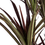 GloboStar® Artificial Garden DRAGON BLOOD TREE 20970 - Τεχνητό Διακοσμητικό Φυτό Δράκαινα Φ60 x Υ140cm - Image 3