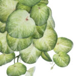GloboStar® Artificial Garden SYNGONIUM HANGING PLANT 20607 Τεχνητό Διακοσμητικό Κρεμαστό Φυτό Συγκόνιο Υ45cm - Image 3