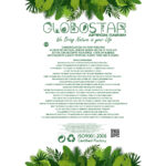 GloboStar® Artificial Garden SYNGONIUM HANGING PLANT 20607 Τεχνητό Διακοσμητικό Κρεμαστό Φυτό Συγκόνιο Υ45cm - Image 5