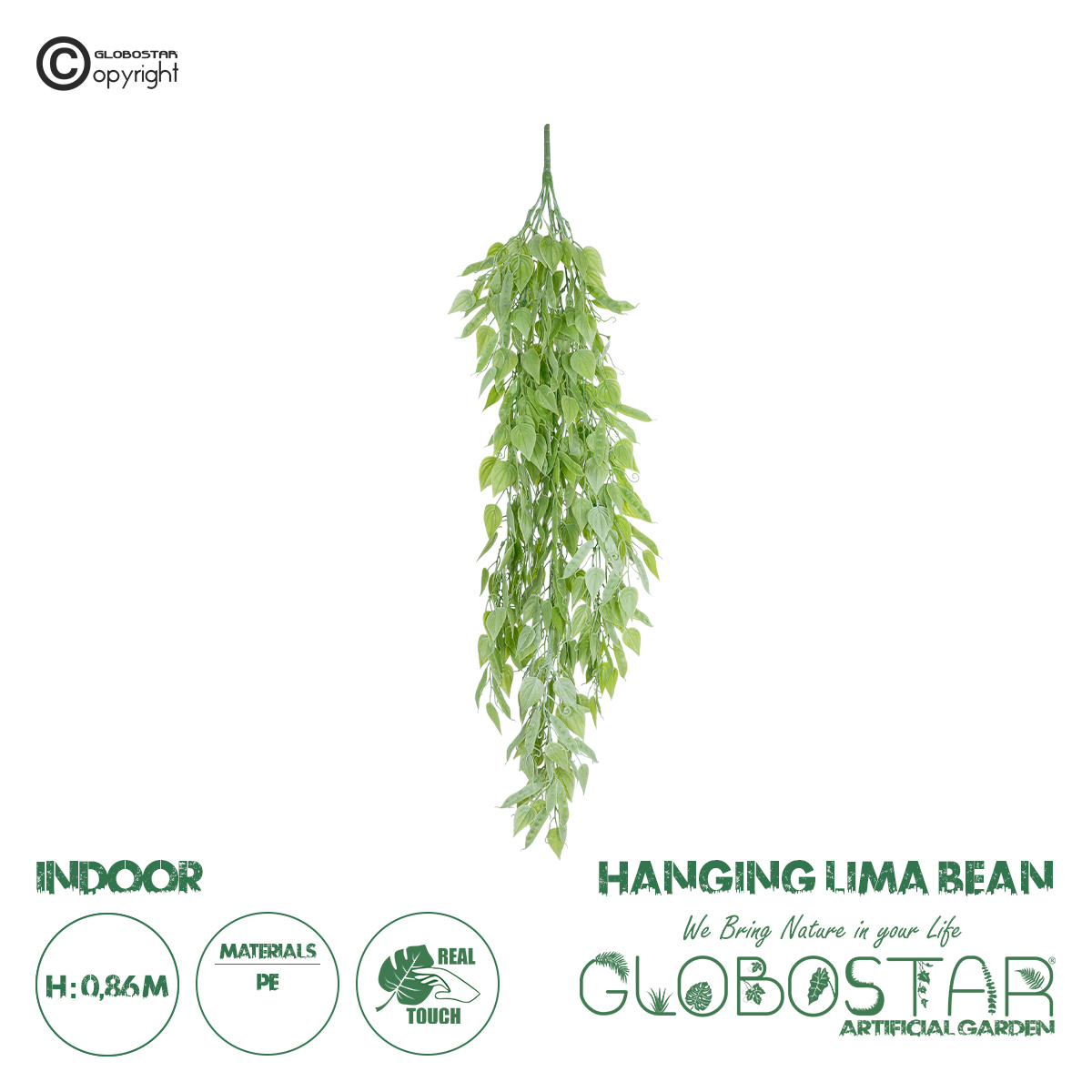 20847_1 GloboStar® Artificial Garden HANGING LIMA BEAN 20847 Τεχνητό Διακοσμητικό Κρεμαστό Φυτό Φασόλι Λίμα Μ29 x Π10 x Υ86cm - Image 1