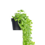 GloboStar® Artificial Garden HANGING PEACH LEAF 20880 - Τεχνητό Κρεμαστό Διακοσμητικό Φυτό Φύλλο Ροδακινιάς Φ20 x Y50cm - Image 4