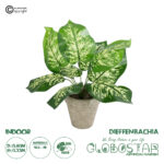 GloboStar® Artificial Garden DIEFFENBACHIA POTTED PLANT 20897 Διακοσμητικό Φυτό Διεφενμπάχια Φ40 x Υ33cm