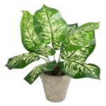 GloboStar® Artificial Garden DIEFFENBACHIA POTTED PLANT 20897 Διακοσμητικό Φυτό Διεφενμπάχια Φ40 x Υ33cm - Image 2