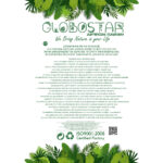 GloboStar® Artificial Garden DIEFFENBACHIA POTTED PLANT 20897 Διακοσμητικό Φυτό Διεφενμπάχια Φ40 x Υ33cm - Image 5
