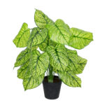 GloboStar® Artificial Garden CALADIUM PLANT 20913 Διακοσμητικό Φυτό Καλάντιουμ Φ55 x Υ75cm - Image 2