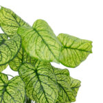 GloboStar® Artificial Garden CALADIUM PLANT 20913 Διακοσμητικό Φυτό Καλάντιουμ Φ55 x Υ75cm - Image 3