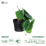 GloboStar® Artificial Garden STRAWBERRY PLANT 20951 Διακοσμητικό Φυτό Φράουλα Φ23 x Υ16cm