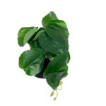GloboStar® Artificial Garden STRAWBERRY PLANT 20951 Διακοσμητικό Φυτό Φράουλα Φ23 x Υ16cm - Image 4
