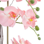 GloboStar® Artificial Garden SALMON PINK ORCHID 21122 Διακοσμητικό Φυτό Ροζ-Πορτοκαλί Ορχιδέα Υ43cm - Image 3