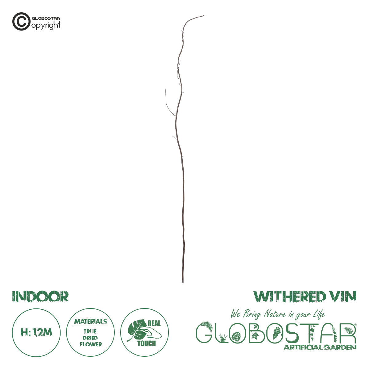 21220_1 GloboStar® Artificial Garden REAL DRIED WITHERED VINE STEM 21220 Τεχνητό Διακοσμητικό Κλαδί Αμπελιού Y120cm - Image 1