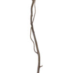 GloboStar® Artificial Garden REAL DRIED WITHERED VINE STEM 21220 Τεχνητό Διακοσμητικό Κλαδί Αμπελιού Y120cm - Image 3