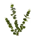 GloboStar® Artificial Garden EUCALYPTUS BRANCH 20484 Τεχνητό Διακοσμητικό Κλαδί Ευκάλυπτου Πράσινο Π30 x Μ30 x Υ80m - Image 3