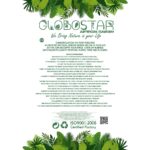 GloboStar® Artificial Garden YELLLOW GRASS BOUQUET 21162 Τεχνητό Διακοσμητικό Μπουκέτο Grass Κίτρινο Y90cm - Image 5