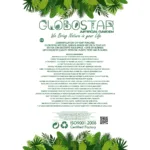 GloboStar® Artificial Garden EUCALYPTUS BRANCH 20484 Τεχνητό Διακοσμητικό Κλαδί Ευκάλυπτου Πράσινο Π30 x Μ30 x Υ80m - Image 5