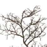 GloboStar® Artificial Garden EXTRA LARGE CORAL BRANCH 21464 Τεχνητό Διακοσμητικό Κλαδί Koράλι Y110cm - Image 3