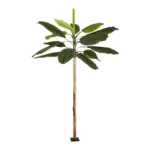 GloboStar® Artificial Garden BANANA TREE 21501 Τεχνητό Διακοσμητικό Δέντρο Μπανανιάς Υ400cm - Image 2