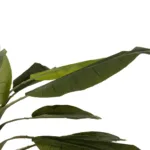 GloboStar® Artificial Garden BANANA TREE 21502 Τεχνητό Διακοσμητικό Δέντρο Μπανανιάς Υ500cm - Image 5