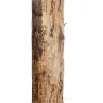 GloboStar® Artificial Garden BANANA TREE 21502 Τεχνητό Διακοσμητικό Δέντρο Μπανανιάς Υ500cm - Image 6