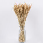 GloboStar® RISEGRASS 36505 Αποξηραμένο Φυτό Ρύζι - Μπουκέτο Διακοσμητικών Κλαδιών Μπεζ Υ60cm - Σετ 105 τμχ - Image 3