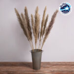 GloboStar® PAMPASGRASS 36514 Αποξηραμένο Φυτό Γρασίδι της Πάμπας - Μπουκέτο Διακοσμητικών Κλαδιών Καφέ - Γκρι Υ150cm - Σετ 5 τμχ