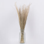 GloboStar® SILVERHAIRGRASS 36545 Αποξηραμένο Φυτό Ασημένια Χλόη - Μπουκέτο Διακοσμητικών Κλαδιών Μπεζ Υ60cm - Σετ 100 τμχ - Image 3